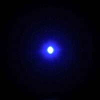 Bit-Light Blue grande con cavo da 30 cm (4pz)