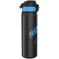NFL - Carolina Panthers - Auslaufsichere schlanke Wasserflasche, Edelstahl, 600ml