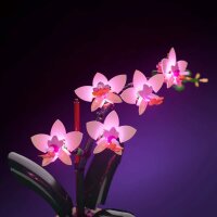 LMB 2.0 Kit di illuminazione a LED per LEGO&reg; 10343 Mini-orchidea