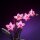 LMB 2.0 Kit di illuminazione a LED per LEGO&reg; 10343 Mini-orchidea