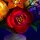 LMB 2.0 Kit de lumi&egrave;re pour LEGO&reg; 10345 La composition florale