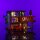 LMB 2.0 LEGO&reg; 21354# Twilight The Cullen House Light Kit
