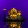 LMB 2.0 LED Licht Set f&uuml;r LEGO&reg; 10362 Franz&ouml;sisches Caf&eacute;