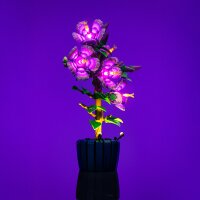 LMB 2.0 Kit di illuminazione a LED per LEGO&reg; 10372 Ibisco