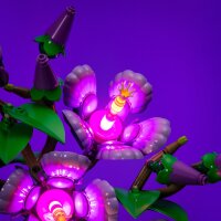 LMB 2.0 Kit di illuminazione a LED per LEGO&reg; 10372 Ibisco