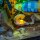 LMB 2.0 Kit de lumi&egrave;re pour LEGO&reg; 10366 L&rsquo;aquarium tropical
