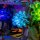 LMB 2.0 Kit de lumi&egrave;re pour LEGO&reg; 10366 L&rsquo;aquarium tropical