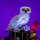 LMB 2.0 LED Licht Set f&uuml;r LEGO&reg; 76466 Harry Potter - Stein der Weisen &ndash; Sammleredition