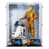 Acrylic display for LEGO&reg; 75398/75379 Star Wars C-3PO & R2-D2 (With background image of a Rebel base)