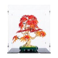 Pr&eacute;sentoir en acrylique pour LEGO&reg; 10348...