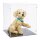 Display in acrilico per LEGO&reg; 11384 Cucciolo di Golden Retriever (con fondo nero)