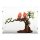 Acrylic display for LEGO&reg; 21365 Love Birds (With black floor)