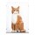 Acrylic display for LEGO&reg; 21376 Orange Cat (With black floor)