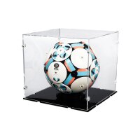 Pr&eacute;sentoir en acrylique pour LEGO&reg; 43019 Le...