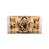 Display in acrilico per LEGO&reg; 77985 Fossili di dinosauro: Triceratopo (con immagine di sfondo e base nera)
