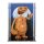 Pr&eacute;sentoir en acrylique pour LEGO&reg; 21370 E.T. the Extra-Terrestrial  (Avec image de fond et base noire)