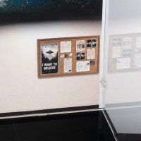 Acrylic display for LEGO&reg; 21369 The X-Files  (With background image & black base)